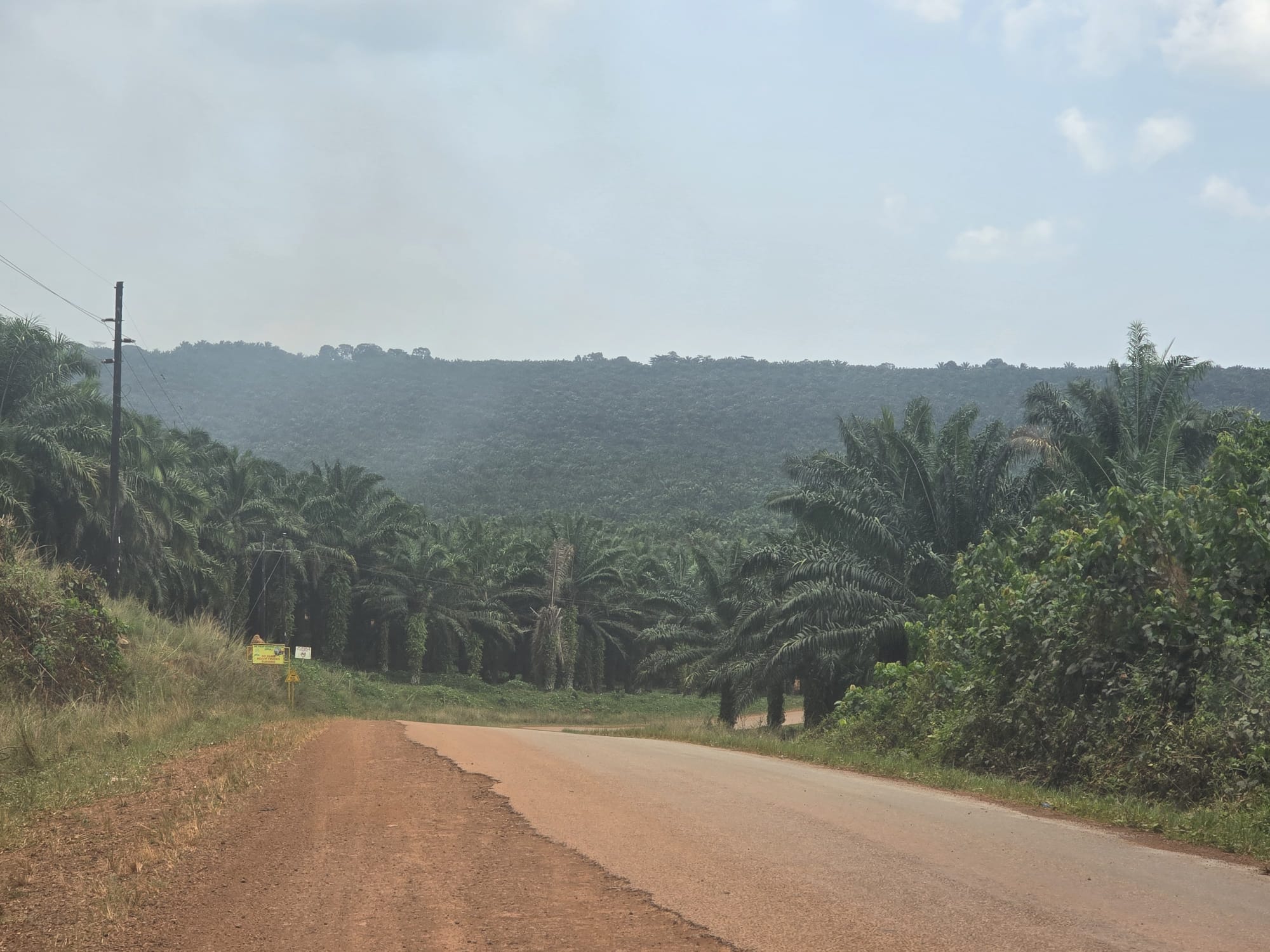 Sustainable Cocoa Farming